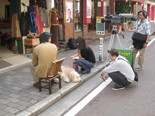 お店の取材で撮影中?
