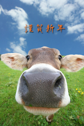 今年の干支 丑が新年のご挨拶 今年の干支 丑が新年のご挨拶