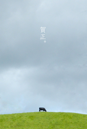 緑の高原の中を、牛が一頭歩いていくところ 緑の高原の中を、牛が一頭歩いていくところ